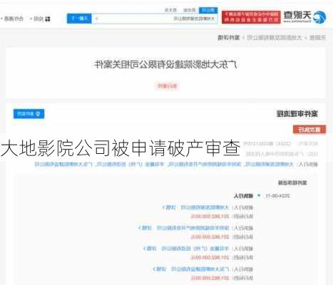 大地影院公司被申请破产审查