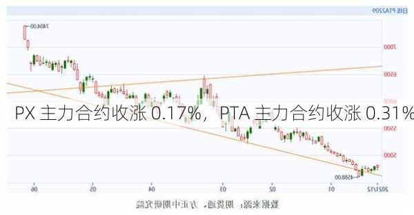 PX 主力合约收涨 0.17%，PTA 主力合约收涨 0.31%