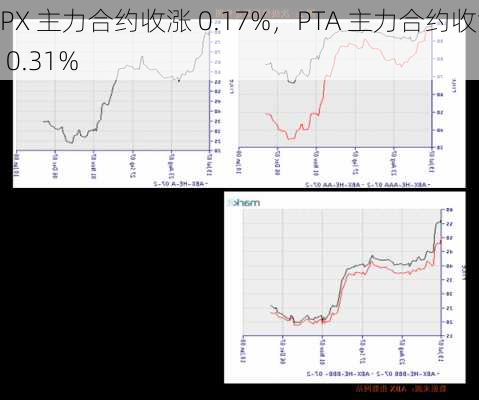 PX 主力合约收涨 0.17%，PTA 主力合约收涨 0.31%