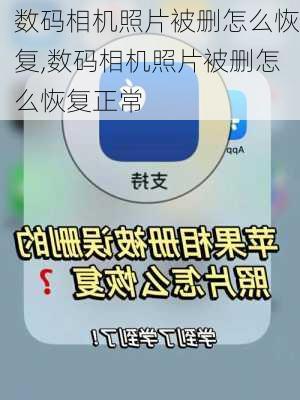 数码相机照片被删怎么恢复,数码相机照片被删怎么恢复正常