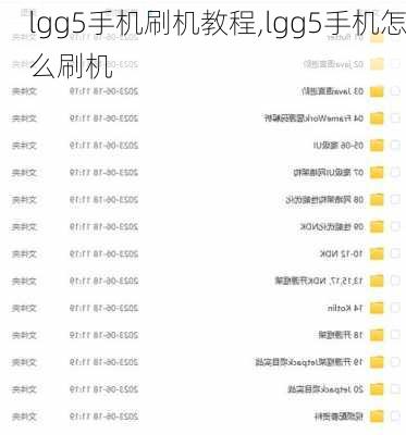 lgg5手机刷机教程,lgg5手机怎么刷机