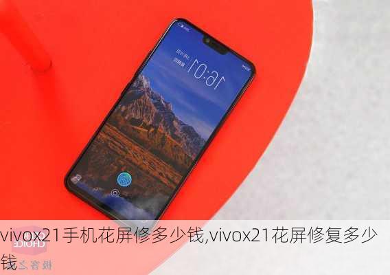 vivox21手机花屏修多少钱,vivox21花屏修复多少钱