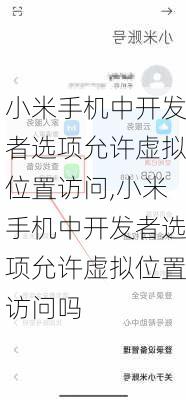 小米手机中开发者选项允许虚拟位置访问,小米手机中开发者选项允许虚拟位置访问吗