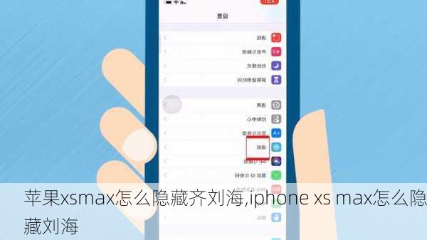 苹果xsmax怎么隐藏齐刘海,iphone xs max怎么隐藏刘海