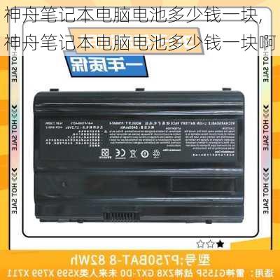 神舟笔记本电脑电池多少钱一块,神舟笔记本电脑电池多少钱一块啊