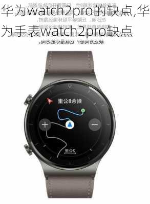 华为watch2pro的缺点,华为手表watch2pro缺点