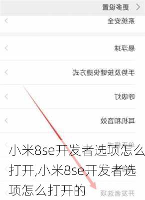 小米8se开发者选项怎么打开,小米8se开发者选项怎么打开的