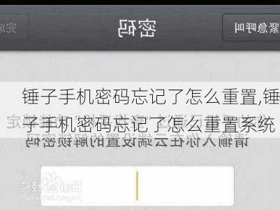 锤子手机密码忘记了怎么重置,锤子手机密码忘记了怎么重置系统