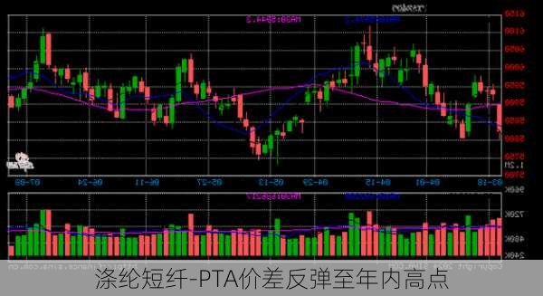 涤纶短纤-PTA价差反弹至年内高点