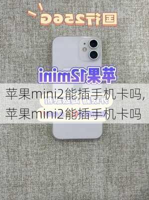 苹果mini2能插手机卡吗,苹果mini2能插手机卡吗