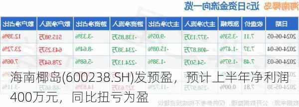 海南椰岛(600238.SH)发预盈，预计上半年净利润400万元，同比扭亏为盈