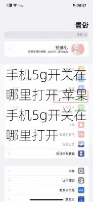 手机5g开关在哪里打开,苹果手机5g开关在哪里打开