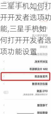 三星手机如何打开开发者选项功能,三星手机如何打开开发者选项功能设置