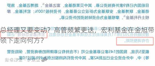 总经理又要变动？高管频繁更迭，宏利基金在金旭带领下走向何方？