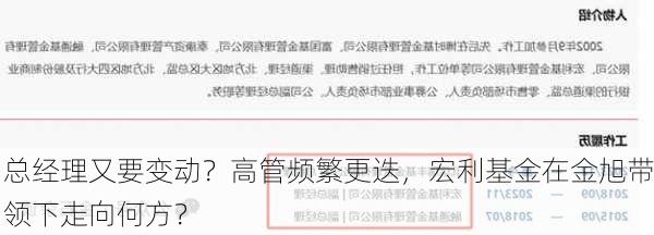 总经理又要变动？高管频繁更迭，宏利基金在金旭带领下走向何方？