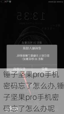 锤子坚果pro手机密码忘了怎么办,锤子坚果pro手机密码忘了怎么办呢