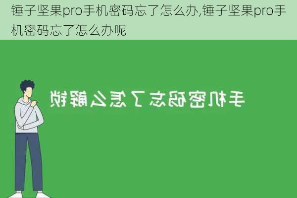 锤子坚果pro手机密码忘了怎么办,锤子坚果pro手机密码忘了怎么办呢