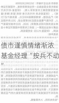 债市谨慎情绪渐浓 基金经理“按兵不动”