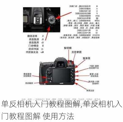 单反相机入门教程图解,单反相机入门教程图解 使用方法