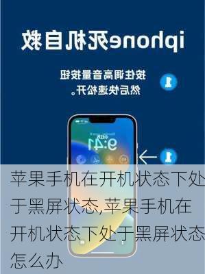 苹果手机在开机状态下处于黑屏状态,苹果手机在开机状态下处于黑屏状态怎么办