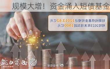 规模大增！资金涌入短债基金