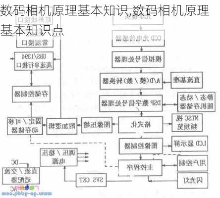 数码相机原理基本知识,数码相机原理基本知识点