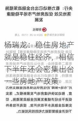 杨瑞龙：稳住房地产就是稳住经济，相信下半年还会密集出台一些房地产政策