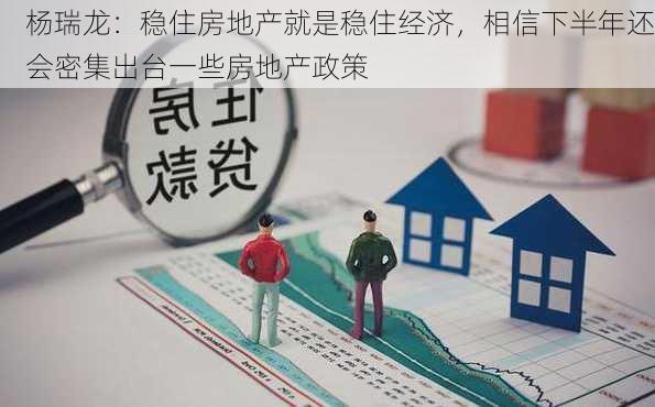 杨瑞龙：稳住房地产就是稳住经济，相信下半年还会密集出台一些房地产政策