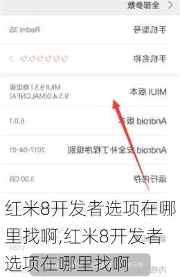 红米8开发者选项在哪里找啊,红米8开发者选项在哪里找啊