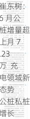 崔东树：6 月公桩增量超上月 7.23 万  充电领域新态势  公桩私桩增长