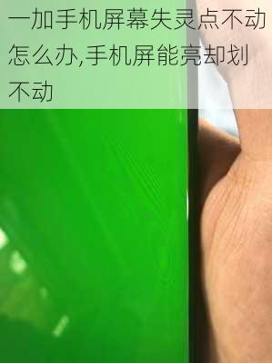 一加手机屏幕失灵点不动怎么办,手机屏能亮却划不动