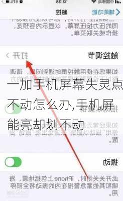 一加手机屏幕失灵点不动怎么办,手机屏能亮却划不动