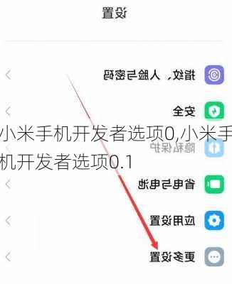 小米手机开发者选项0,小米手机开发者选项0.1