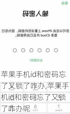 苹果手机id和密码忘了又锁了咋办,苹果手机id和密码忘了又锁了咋办呢