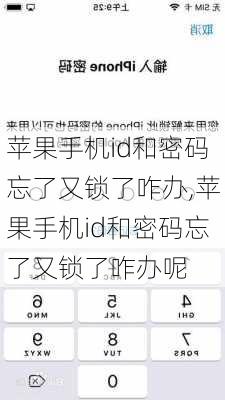 苹果手机id和密码忘了又锁了咋办,苹果手机id和密码忘了又锁了咋办呢