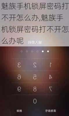 魅族手机锁屏密码打不开怎么办,魅族手机锁屏密码打不开怎么办呢