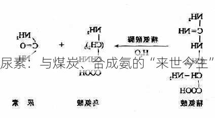 尿素：与煤炭、合成氨的“来世今生”