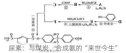 尿素：与煤炭、合成氨的“来世今生”