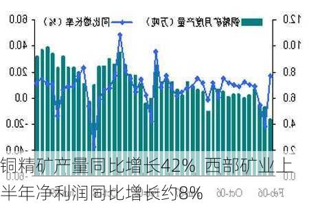 铜精矿产量同比增长42%  西部矿业上半年净利润同比增长约8%