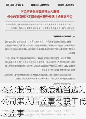 泰尔股份：杨远航当选为公司第六届监事会职工代表监事