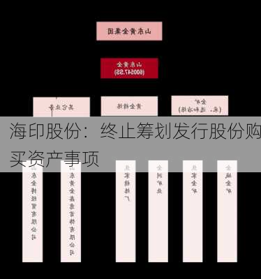 海印股份：终止筹划发行股份购买资产事项