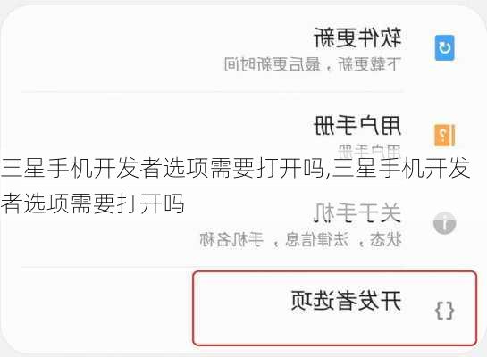三星手机开发者选项需要打开吗,三星手机开发者选项需要打开吗