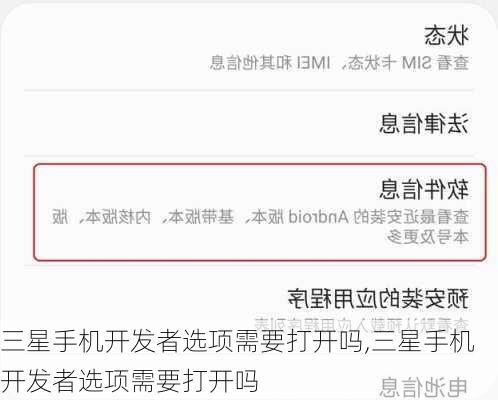 三星手机开发者选项需要打开吗,三星手机开发者选项需要打开吗
