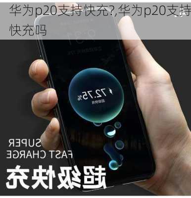 华为p20支持快充?,华为p20支持快充吗