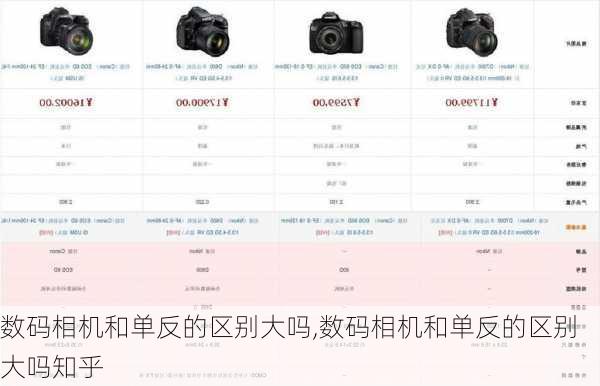 数码相机和单反的区别大吗,数码相机和单反的区别大吗知乎