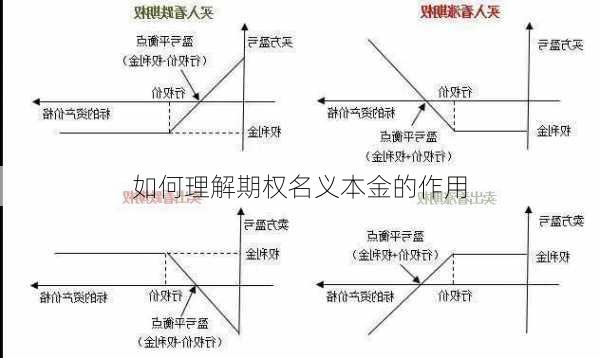 如何理解期权名义本金的作用