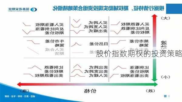 股价指数期权的投资策略