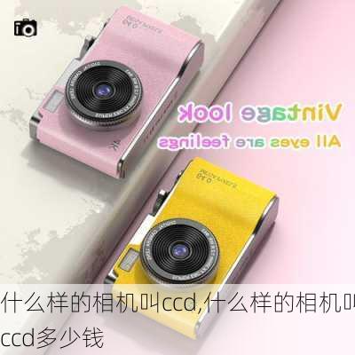 什么样的相机叫ccd,什么样的相机叫ccd多少钱