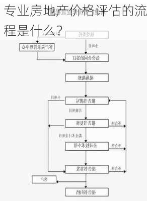 专业房地产价格评估的流程是什么？