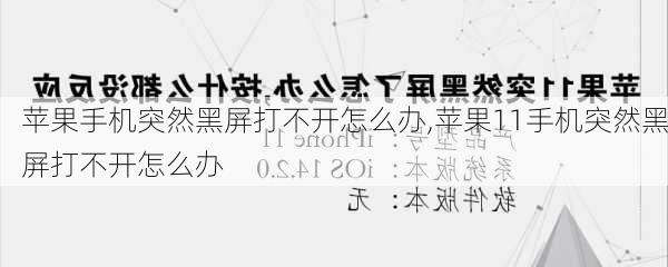 苹果手机突然黑屏打不开怎么办,苹果11手机突然黑屏打不开怎么办